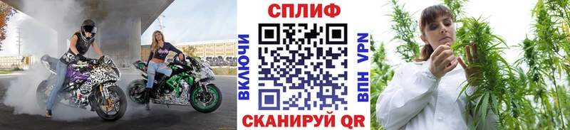Шишки марихуана конопля Изобильный