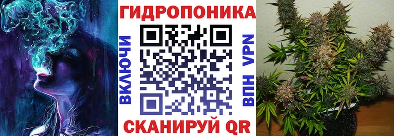 Купить где Изобильный Бошки марихуана SATIVA & INDICA